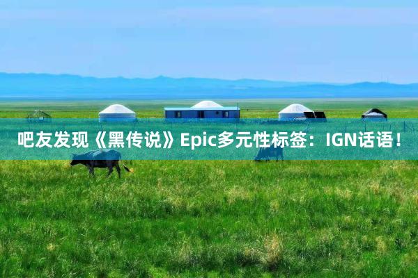 吧友发现《黑传说》Epic多元性标签：IGN话语！